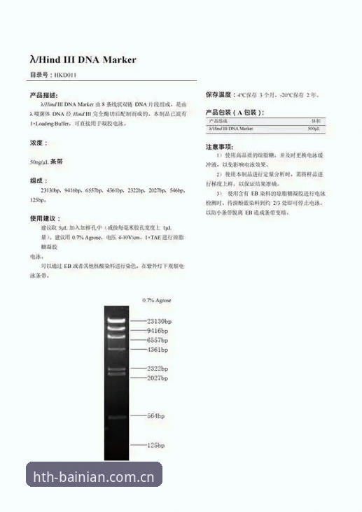 雷吉亚纳引援深度评测：奥格贝德能否借HTH华体会体育完成逆袭？
